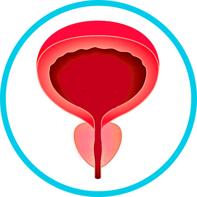 A prosztatagyulladás megelőzése